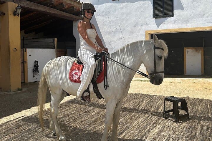 From Barcelona: PRIVATE Horseback Riding and Tapas Picnic