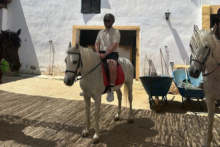 From Barcelona: PRIVATE Horseback Riding and Tapas Picnic