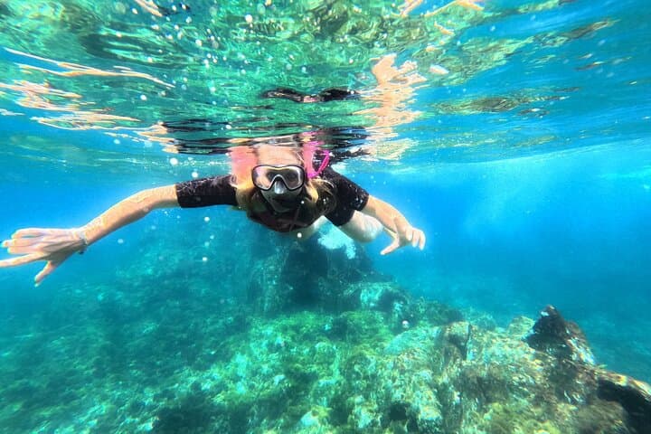 snorkel_client_tenerife