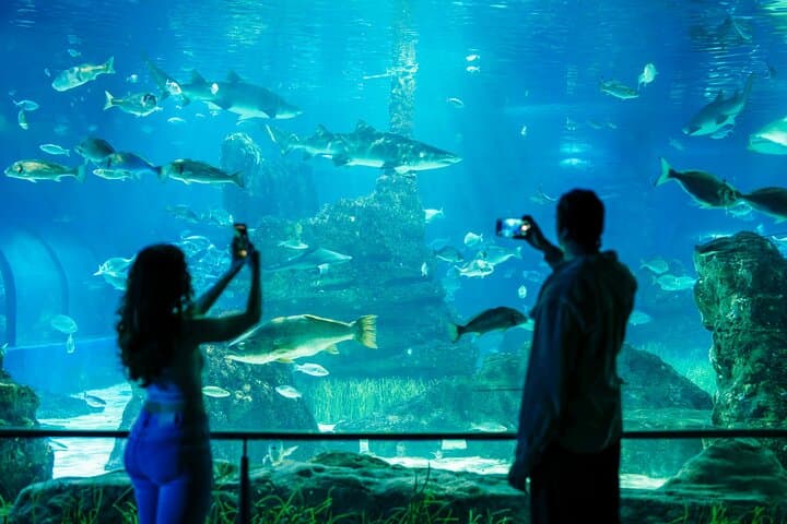 Barcelona Aquarium Skip the Line Ticket