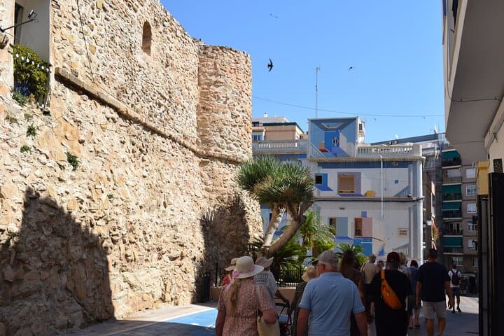 From Albir & Benidorm: Calpe Old Town and Port day trip