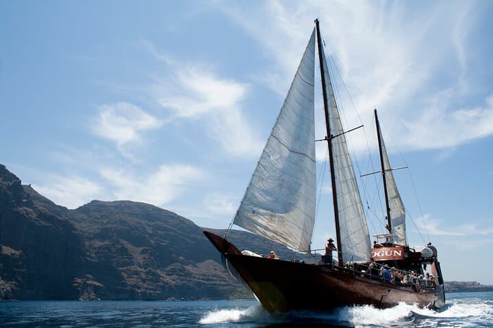 Respectful Whale Watching on a Wooden Boat and Swim