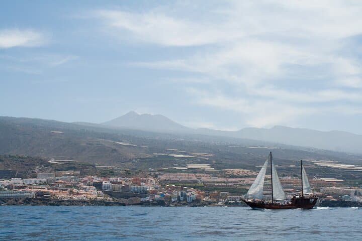 Tenerife : Whales and Dolphins with Food and Bath in Los Gigantes