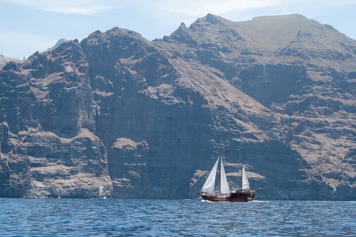 Tenerife : Whales and Dolphins with Food and Bath in Los Gigantes