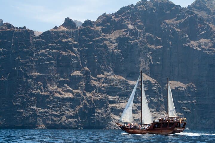 Tenerife : Whales and Dolphins with Food and Bath in Los Gigantes