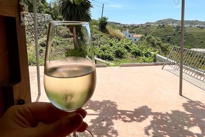 Sun and Wine Route - Small group, wine tasting and tapas included