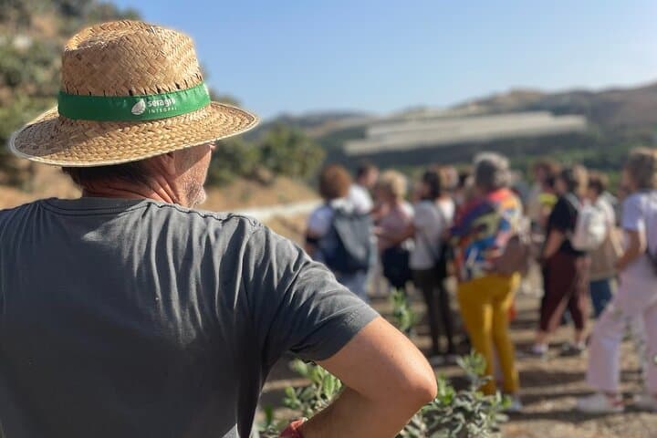 Tropical Tour: Avocado & Mango Farm - Small group and tasting