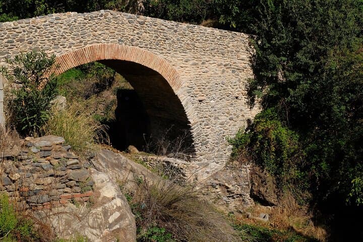White Villages Tour in the Nerja area: Small-Group Tour and Lunch