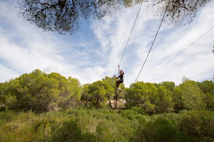 Ziplines