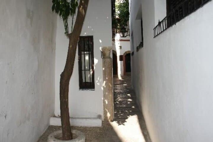 Cordoba Day Trip : A Journey Through History from Malaga