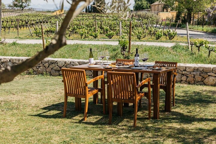 From Barcelona: Torres Winery Tour with wine tasting & tapas