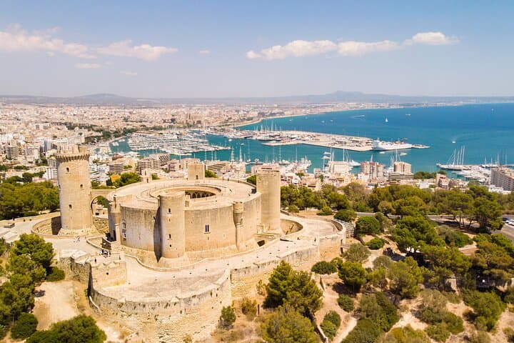Discover the Charm of Palma de Mallorca on a Private Tour