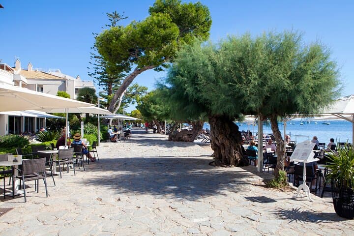 Palma de Mallorca Tour to Cap de Formentor and Northern Coast