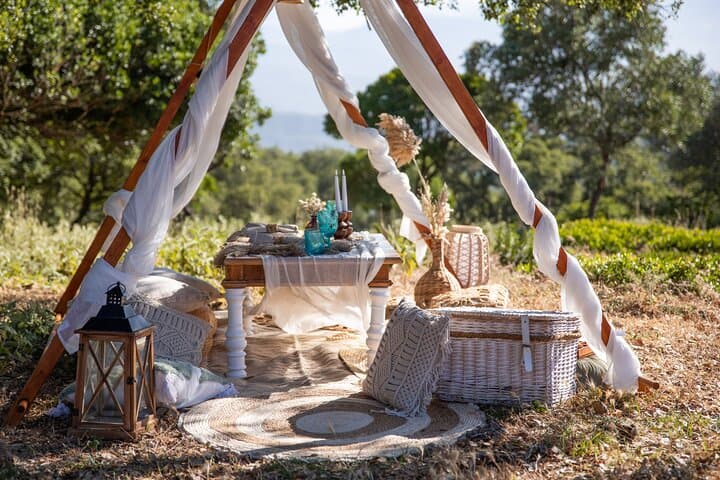 Picnic at the forest with view