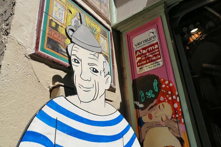 Barcelona Picasso Museum and Walking Tour