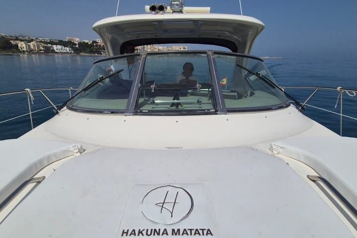 Luxury Motor Yacht in Estepona. Dophin spotting, swimming, etc
