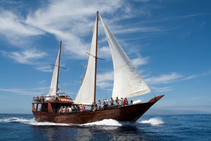 Whale Safari to Los Gigantes with pickup from North