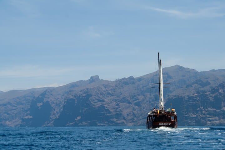 Whale Safari to Los Gigantes with pickup from North