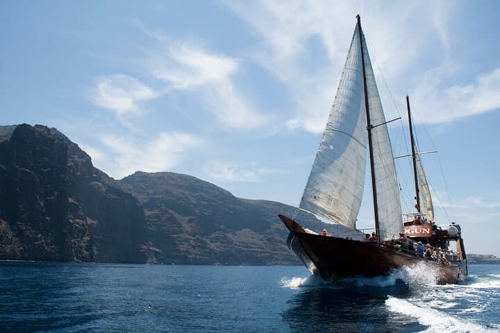 Whale Safari to Los Gigantes with pickup from North