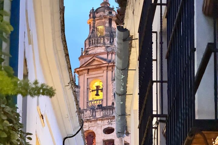 From Malaga Cordoba Private Daytrip
