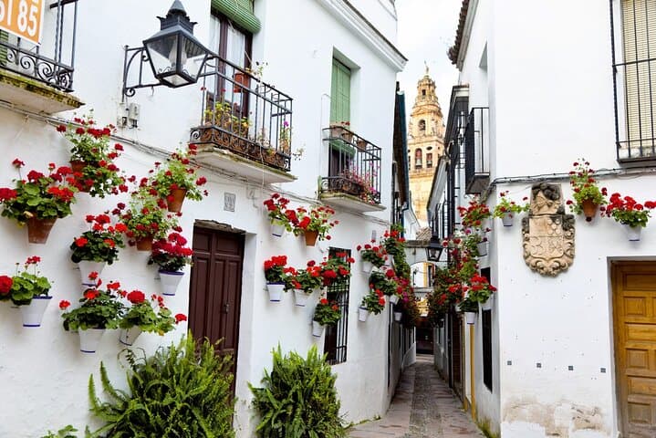 From Malaga Cordoba Private Daytrip