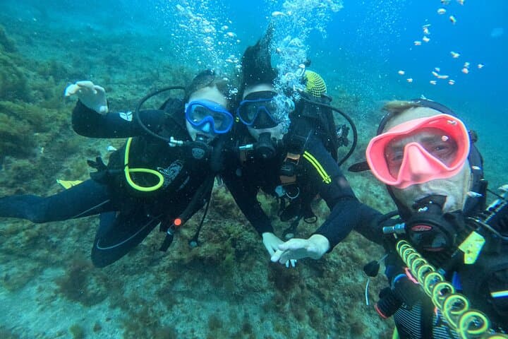 Tenerife: 2-in-1 Scuba Diving with Turtles & Snorkeling 8+
