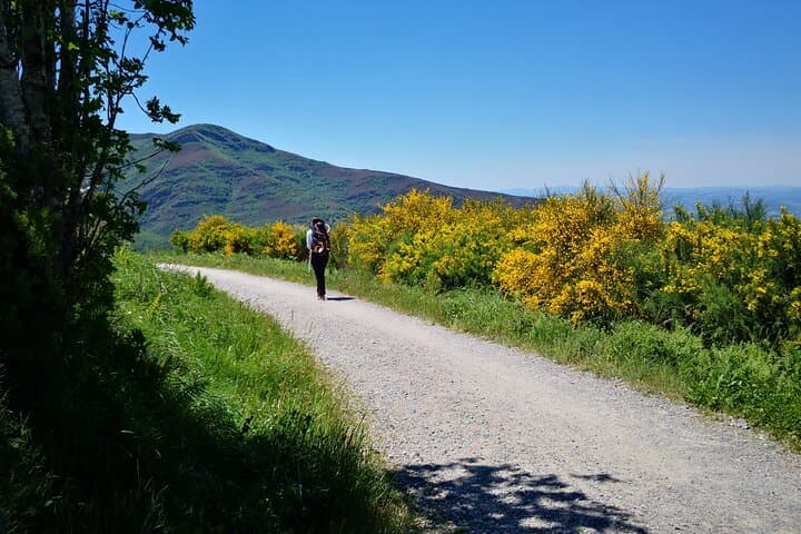 Camino de Santiago French From O Cebreiro to Santiago