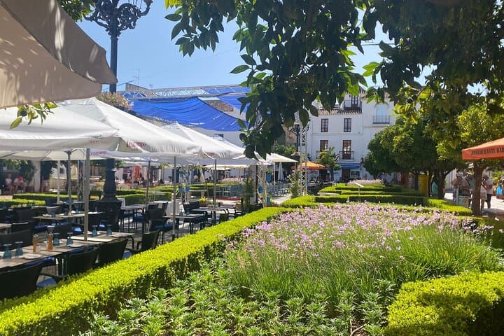 Marbella old town tour with Tapas and Wines