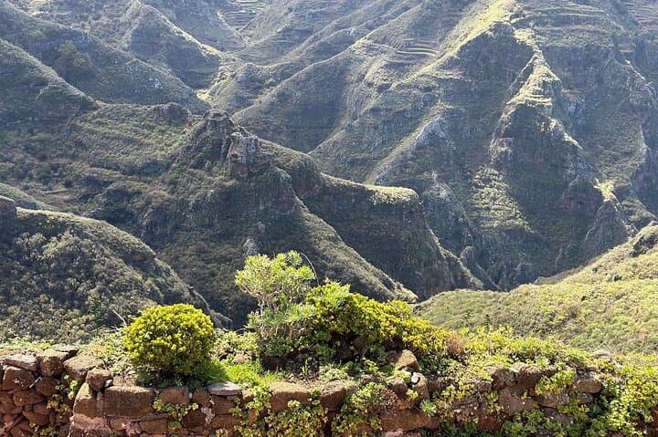 Anaga Hidden Gems Hiking Tour. Free Pick-up.