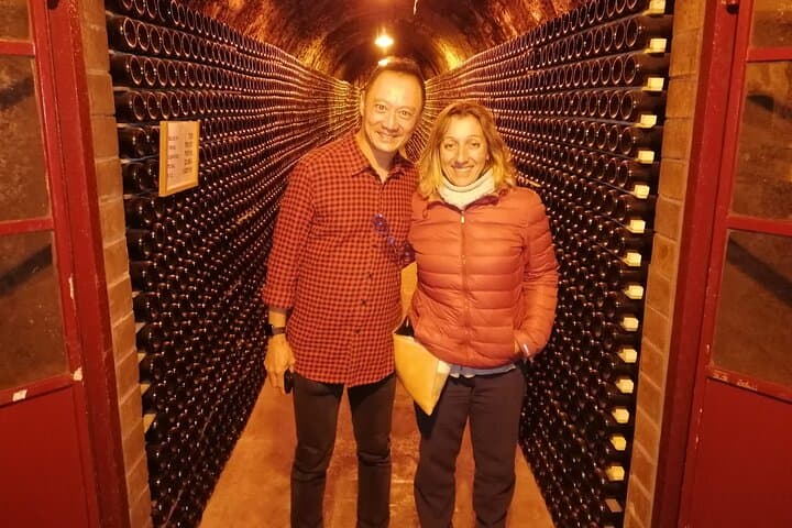 Malaga by Night: Private & Customizable Evening City Tour
