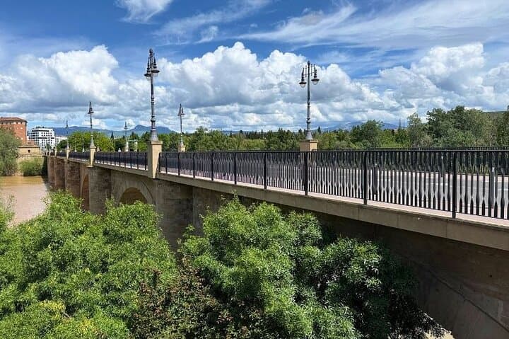TOP Logroño : Private guided tour with your mobile