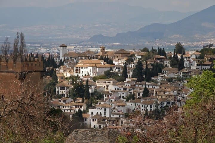 Guided Alhambra Tour with Official Tickets