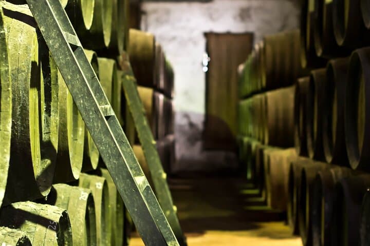 Winery Visit in Chiclana de la Frontera : Wine Tasting and Tapas