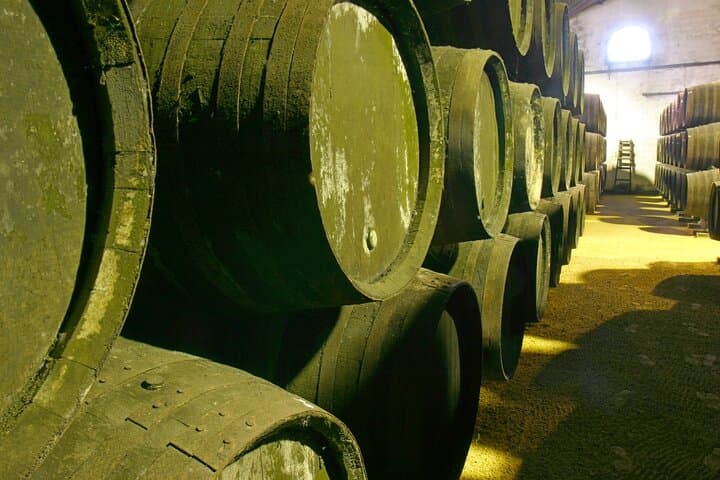 Winery Visit in Chiclana de la Frontera : Wine Tasting and Tapas