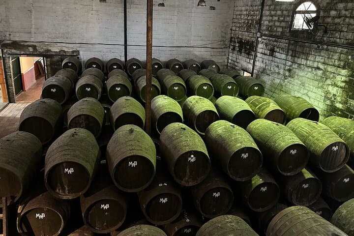 Winery Visit in Chiclana de la Frontera : Wine Tasting and Tapas