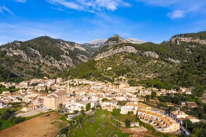 8 Hours Madrid Private Tour with Hotel Pickup and Drop