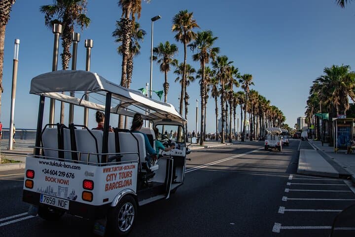 Official Tuk Tuk BCN l Barcelona 3 Hours City Tour