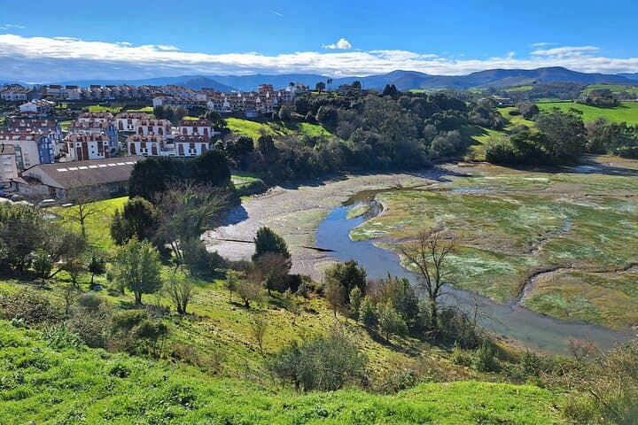 Sequoia Forest and San Vicente de la Barquera Tour