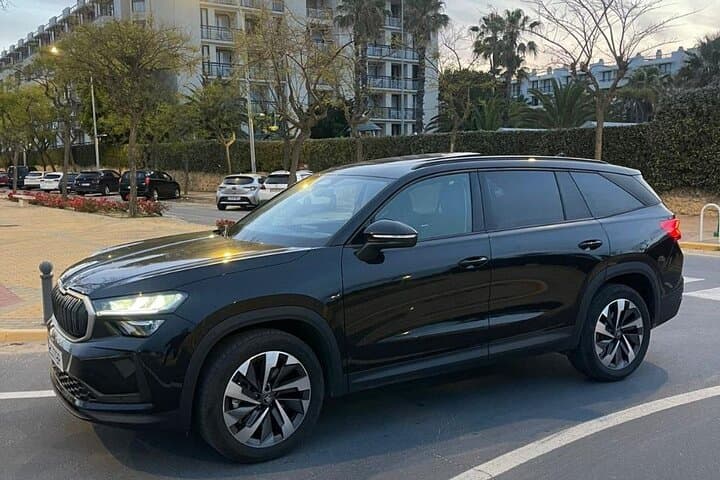 Private Chauffeur Service - Seville (Minibuses up to 8pax)