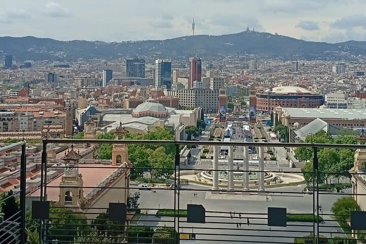 MNAC Masterpieces: For Art Lovers in Barcelona