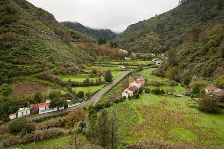 Full-Day Gran Canaria Tour: Historic Towns & Mountain Wonders