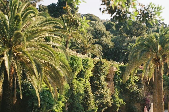 Barcelona: Park Güell Guided Tour with Entry Ticket
