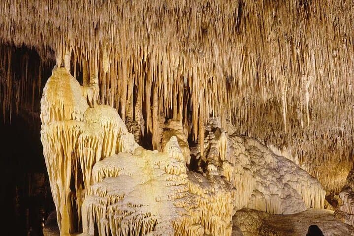 Drach Caves and Cuevas dels Hams Day Trip