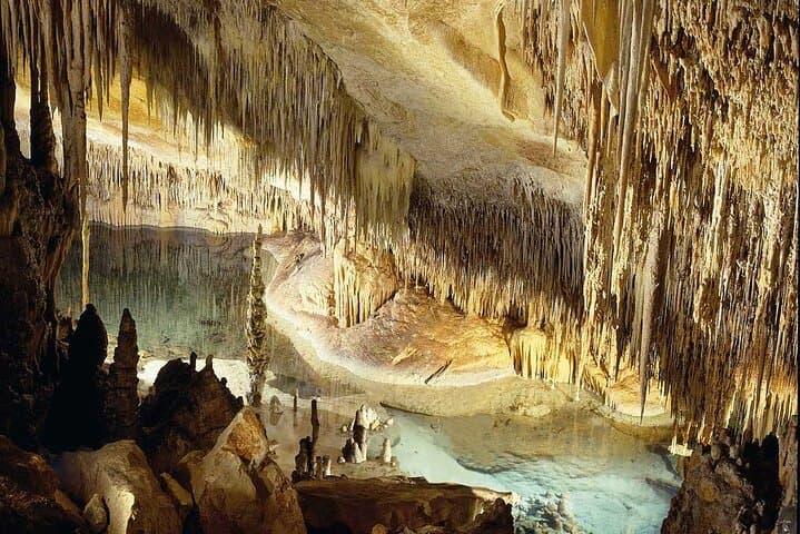 Drach Caves and Cuevas dels Hams Day Trip