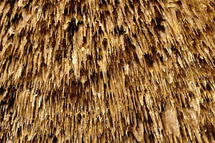 Drach Caves and Cuevas dels Hams Day Trip