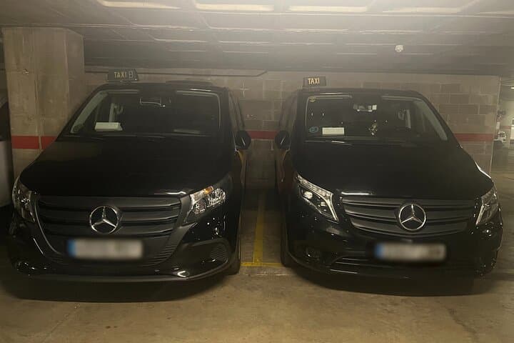 Barcelona Private Transfer Hotel or City Centre to Cruise Port