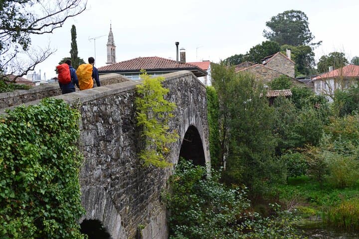 Camino de Santiago French from León to Santiago