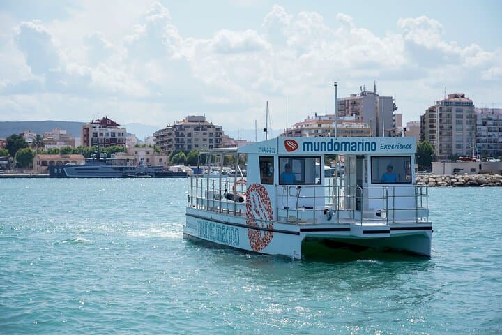 Excursion to the Cova Tallada with optional swimming stop Denia