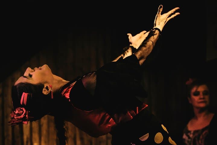 Madrid: Local Flamenco Show with Tapas at El Cortijo