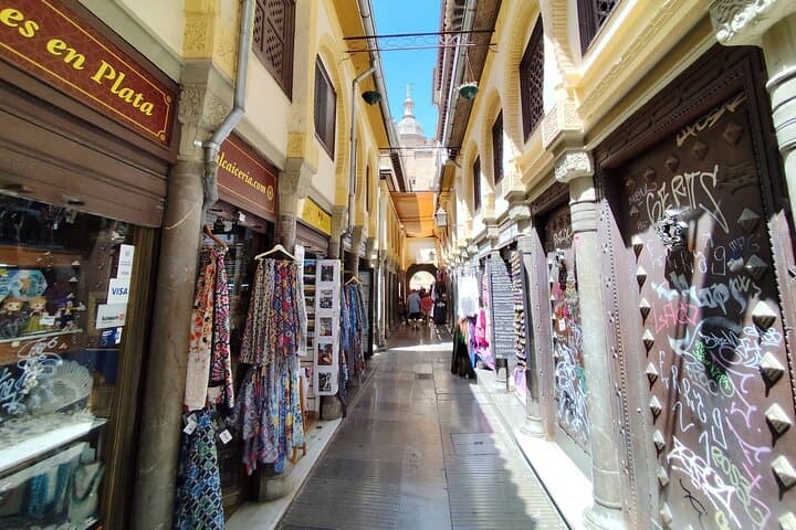Granada City Center and Albaicin Private Tour